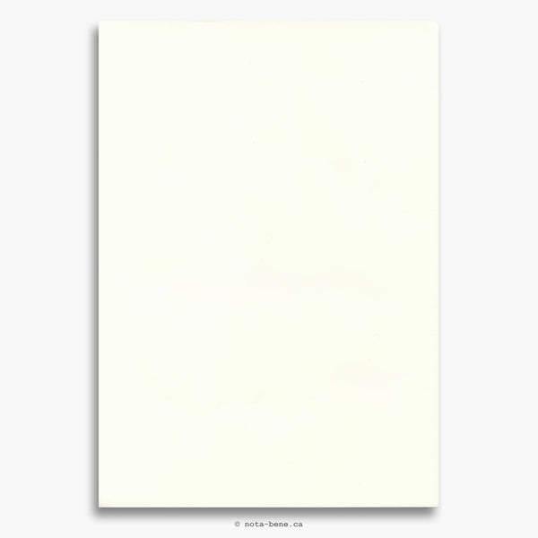 Tomoe River papier à feuilles mobiles A4 uni (2023) • Loose sheet paper A4 blank [TMR-A4P]